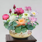 Flor de Lótus Bonsai - 🌸 A Sagrada (Compre 1 Leve 2)