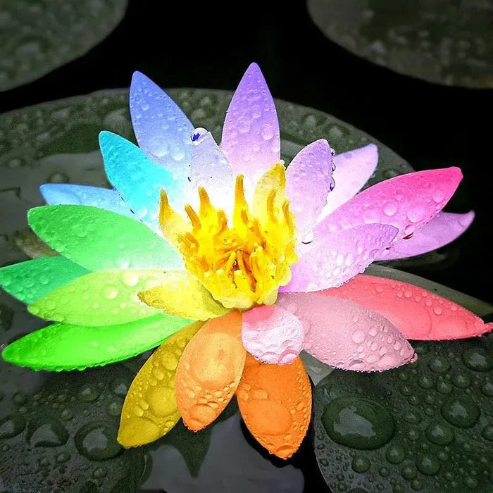 Flor de Lótus Bonsai - 🌸 A Sagrada (Compre 1 Leve 2)